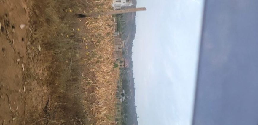 5 acres In Thigio Kamangu (Fenced)