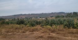 5 acres In Thigio Kamangu