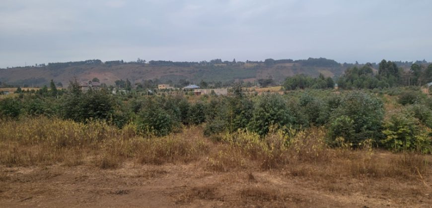 5 acres In Thigio Kamangu