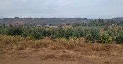 5 acres In Thigio Kamangu