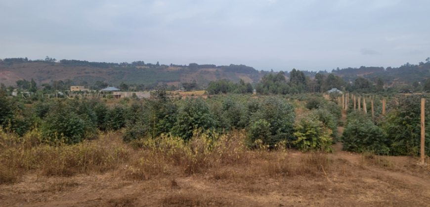 5 acres In Thigio Kamangu