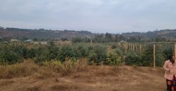 5 acres In Thigio Kamangu
