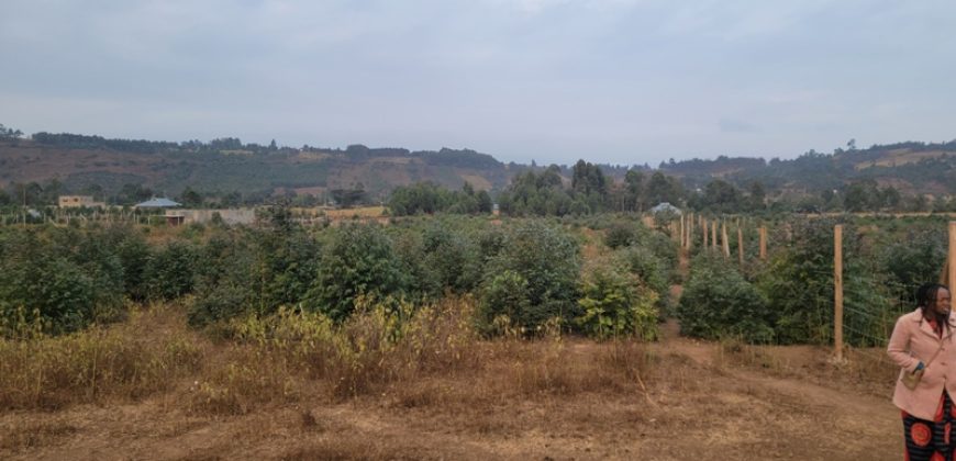 5 acres In Thigio Kamangu