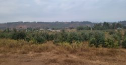 5 acres In Thigio Kamangu