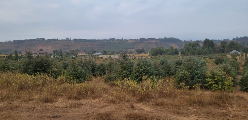 5 acres In Thigio Kamangu