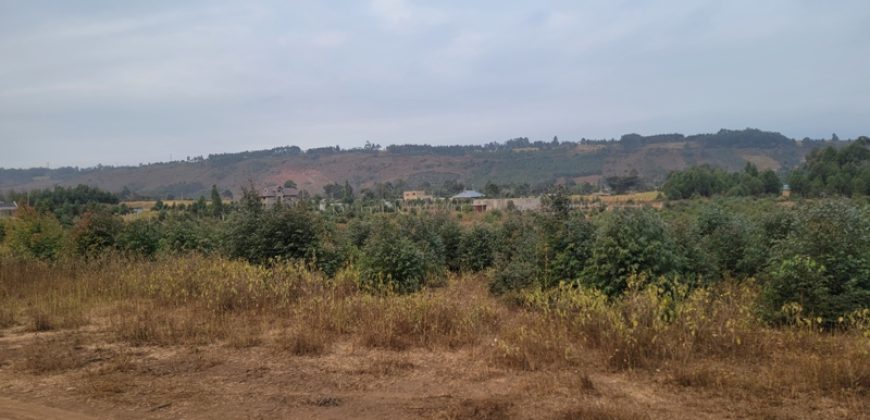 5 acres In Thigio Kamangu