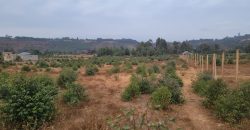 5 acres In Thigio Kamangu