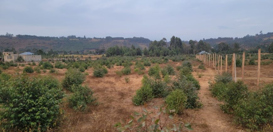 5 acres In Thigio Kamangu