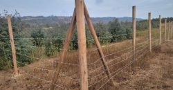 5 acres In Thigio Kamangu (Fenced)