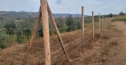 5 acres In Thigio Kamangu (Fenced)
