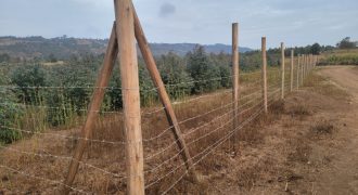 5 acres In Thigio Kamangu (Fenced)