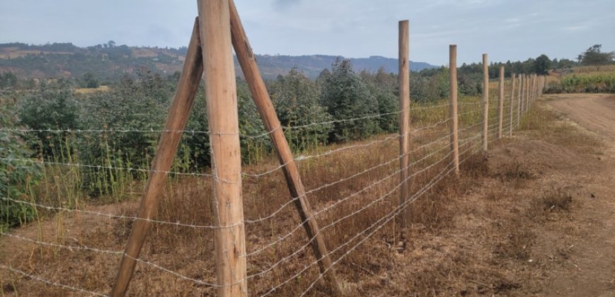 5 acres In Thigio Kamangu (Fenced)