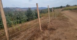 5 acres In Thigio Kamangu (Fenced)