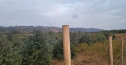 5 acres In Thigio Kamangu (Fenced)