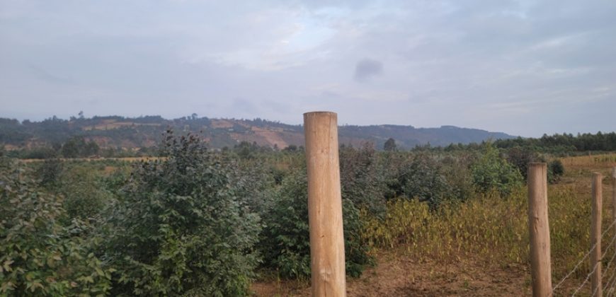 5 acres In Thigio Kamangu (Fenced)