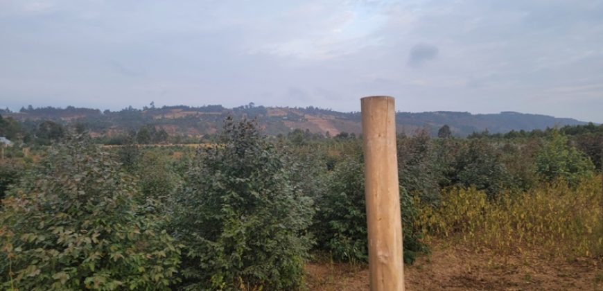 5 acres In Thigio Kamangu (Fenced)