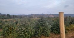 5 acres In Thigio Kamangu (Fenced)