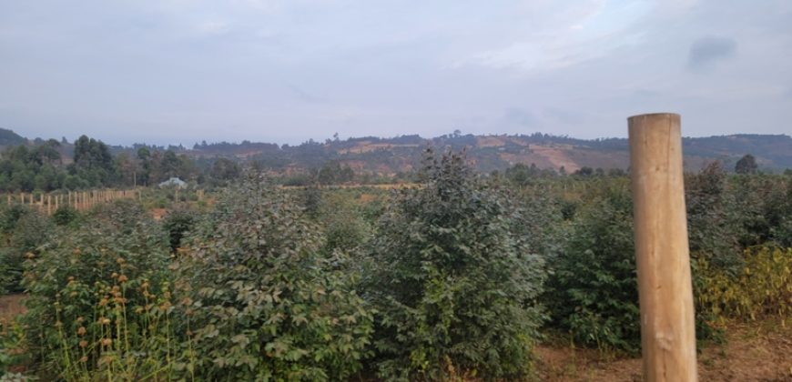 5 acres In Thigio Kamangu (Fenced)