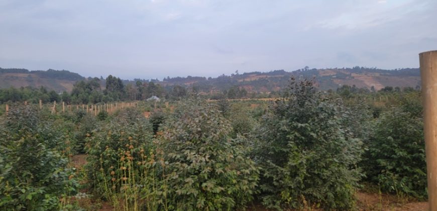 5 acres In Thigio Kamangu (Fenced)
