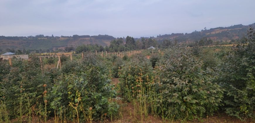 5 acres In Thigio Kamangu (Fenced)