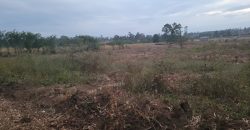 Eight Acre Plots In Kiriri