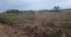 Eight Acre Plots In Kiriri