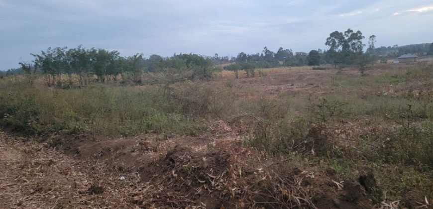 Eight Acre Plots In Kiriri