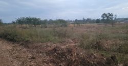 Eight Acre Plots In Kiriri