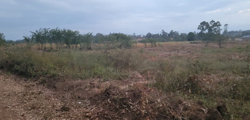 Eight Acre Plots In Kiriri