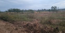Eight Acre Plots In Kiriri