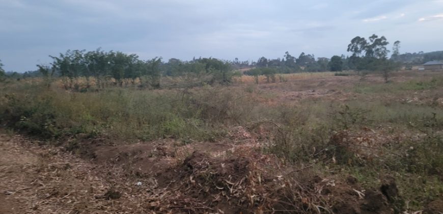 Eight Acre Plots In Kiriri