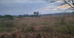 Eight Acre Plots In Kiriri