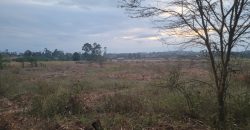 Eight Acre Plots In Kiriri