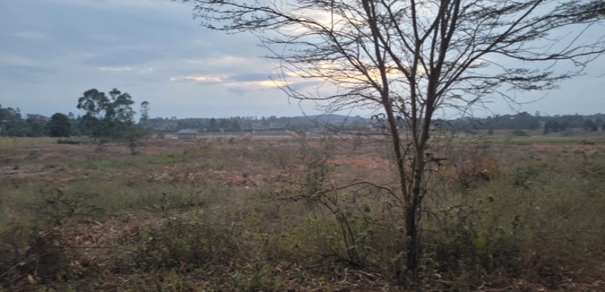 Eight Acre Plots In Kiriri