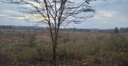 Eight Acre Plots In Kiriri