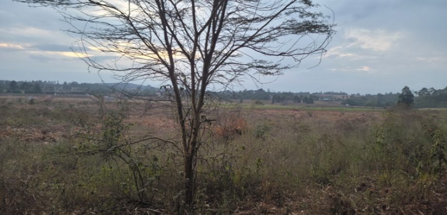 Eight Acre Plots In Kiriri