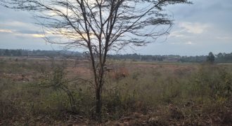 Eight Acre Plots In Kiriri