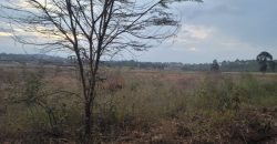 Eight Acre Plots In Kiriri
