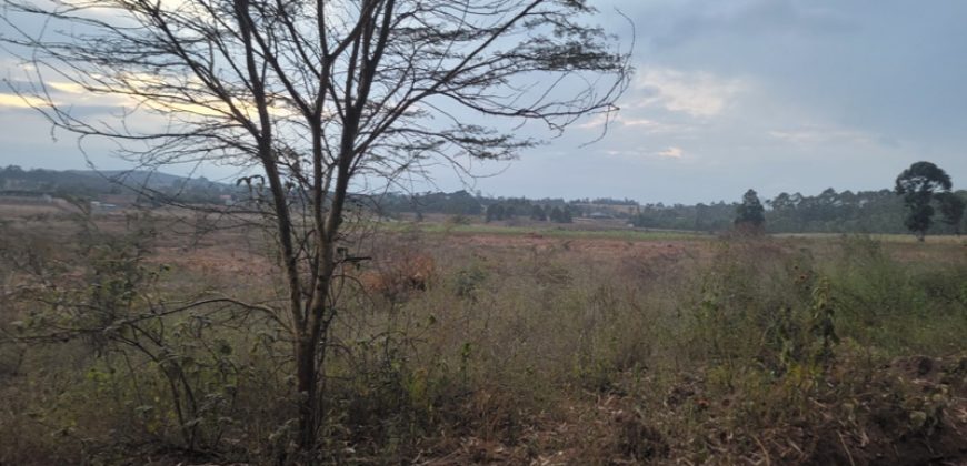 Eight Acre Plots In Kiriri