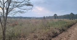 Eight Acre Plots In Kiriri