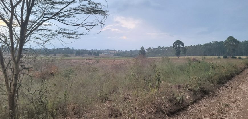 Eight Acre Plots In Kiriri