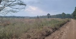 Eight Acre Plots In Kiriri