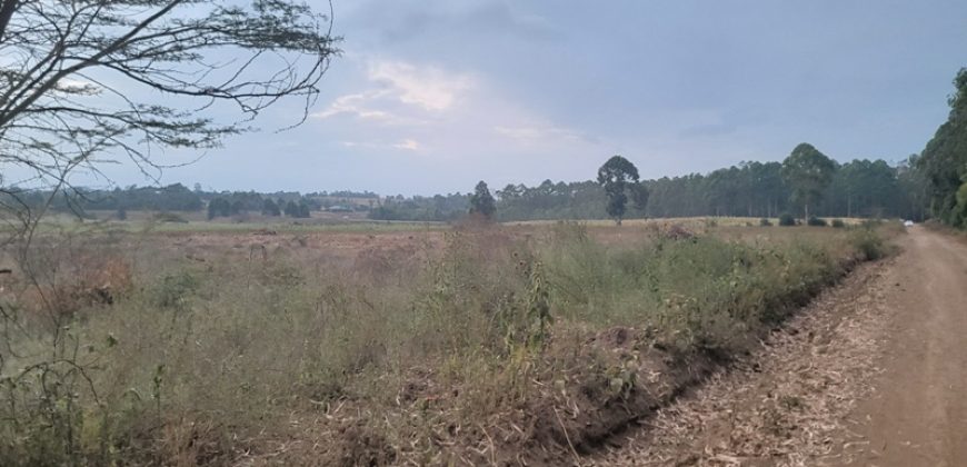 Eight Acre Plots In Kiriri