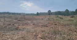 5 acres In Kiriri Kamangu-Kikuyu