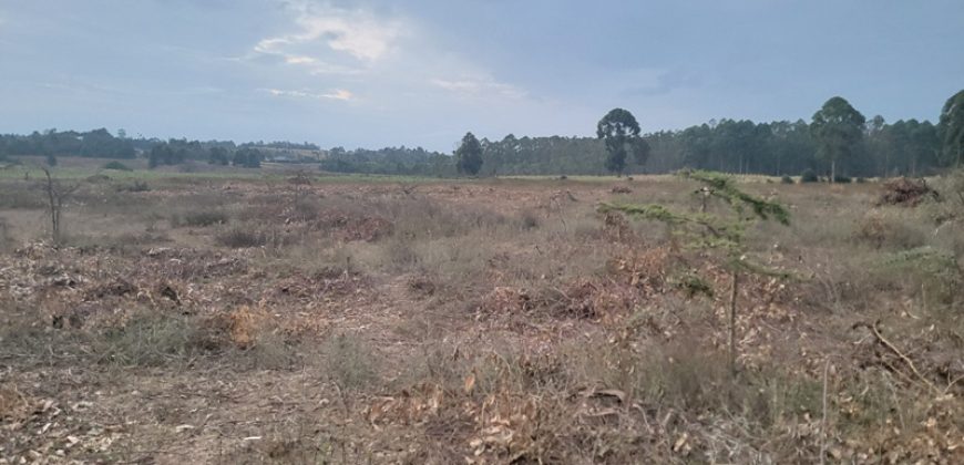 5 acres In Kiriri Kamangu-Kikuyu