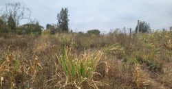 Serene Living Awaits! 0.125 Acres in Thigio Kamangu – Only 83 Meters from Tarmac!