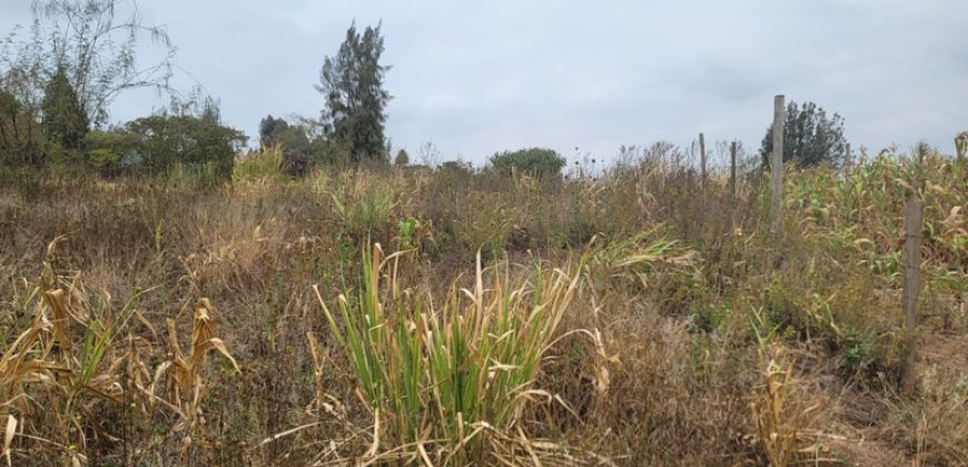 Serene Living Awaits! 0.125 Acres in Thigio Kamangu – Only 83 Meters from Tarmac!