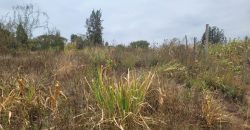 Serene Living Awaits! 0.125 Acres in Thigio Kamangu – Only 83 Meters from Tarmac!