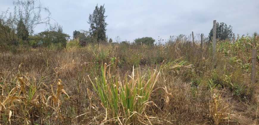 Serene Living Awaits! 0.125 Acres in Thigio Kamangu – Only 83 Meters from Tarmac!