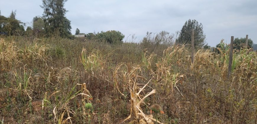 Serene Living Awaits! 0.125 Acres in Thigio Kamangu – Only 83 Meters from Tarmac!